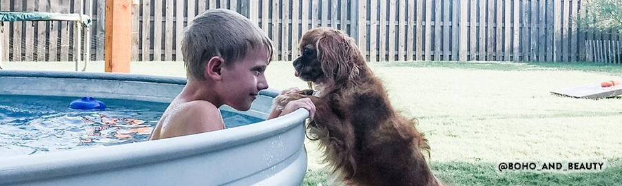 Piscinas para perros, para toda la familia y para toda la vida – Pool&Tina